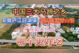 广西马蹄每吨4000元，为什么不大量种植！反而种更便宜的木薯甘蔗视频封面