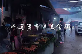 坐落于金殿后山，云南野生动物园附近的美食街，宝藏地。视频封面