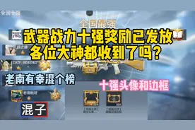CF手游武器战力十强榜奖励都收到了吗？