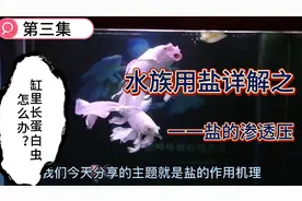 水长蛋白虫怎么办？第三集：水族盐详解之一盐作用机理（渗透压）