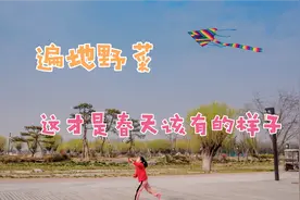 西安汉长安城遗址公园启动大型改造项目，侦探曾老师潜入现场实拍