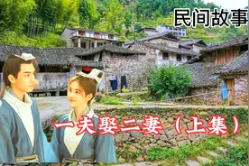 一夫娶二妻（上集）视频封面