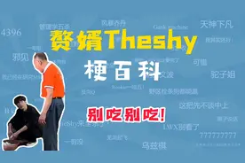 赘婿Theshy是什么梗？视频封面