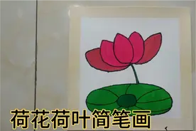 儿童简笔画，荷花荷叶的简单画法，85秒看完就会了视频封面