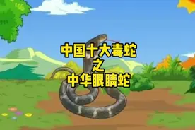 中国十大毒蛇之中华眼睛蛇