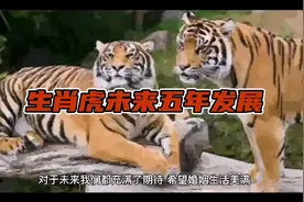 生肖虎未来五年发展，顺势而为，样样顺心！视频封面