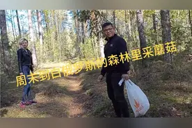 石头和金发女孩周末到白俄罗斯的森林里采蘑菇……视频封面