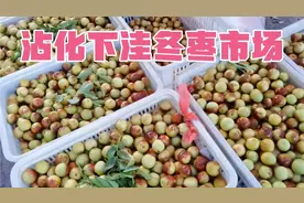 白嫖沾化第一冬枣市场，不花钱就能吃饱，涛子有点不好意思了视频封面