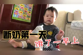 宝宝断奶第一天，从早上8点饿到下午3点哭闹就是不吃奶粉视频封面