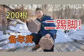 过年备年货，买了200多根二踢脚，一共要花多少钱?