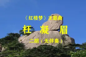 二胡清奏《枉凝眉》季朝友