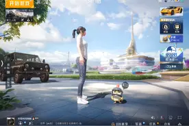 和平精英，免费的好看的搭配视频封面