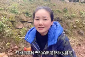 四川南充蓬安，6元一斤的黄精农村小鲁又种了些，会成“黄金”吗