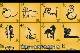 十二生肖适合行业大全，你可以不信，但你必须知道！#国风