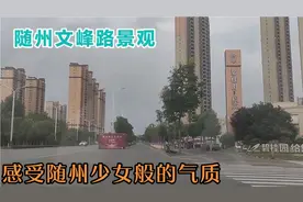 随州崛起的新城区，城东文峰路段景观概览，神韵随州，气质不凡！视频封面