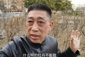 春栽牡丹为啥老死不开花，怎样植栽会开花，专业人士讲植栽方法视频封面