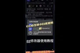 修改器小白使用教程