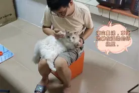 猫咪感冒一周多了，吃药💊也没能完全好，怎么办！