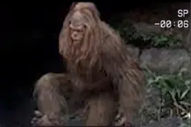 五个世界各地拍摄到的疑似野人《大脚怪》的生物！你认为是真是假