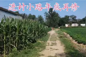 我的老家就在这个村，如今村里已经没有人。视频封面