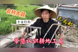 农民耕地三大宝！十齿钉耙 三齿耙、铁锹等 老马带您了解各自用处视频封面