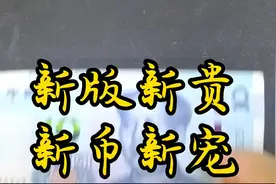 第五套人民币十元纸币2019年新版十元版本解析视频封面