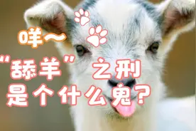 “舔羊”之刑，是个什么鬼?