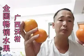 全国最畅销的时令水果，广西沃柑品质脆甜爽，营养价值又丰富。视频封面