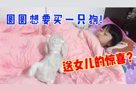 6岁小孩想要养狗，妈妈送女儿一只！女儿：为什么这只狗不会叫？视频封面