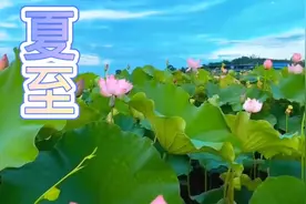 二十四节气之一：夏至