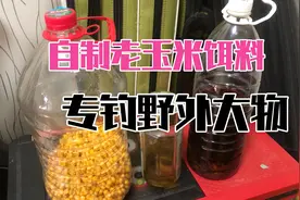 自用多年的老玉米饵料制作配方，野钓大鲤鱼大草鱼多次爆护视频封面