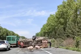 今天下午1点28分，哈尔滨到黑河方向，鹤哈高速视频封面