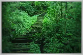 南宝山徒步一日游