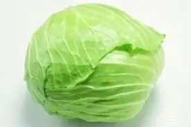 你喜欢吃包菜不，你知道包菜有什么样的营养和功效，来看它的禁忌