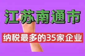 江苏南通市纳税最多的35家企业视频封面