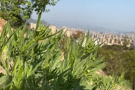 5,1劳动节 去干什么了？？？