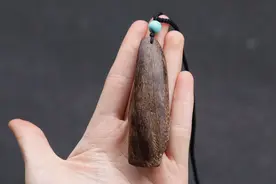 红土沉香，百年老料，可以品香，可以佩戴，可以收藏，沉水级别香