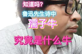 鲁迅先生诗中的孺子牛究竟是什么意思？原来它是出自这个典故！