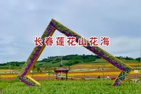 长春莲花山花海，百花盛开，远山如黛，乘公交车或自驾游都方便