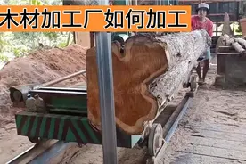 国外小型木材加工厂，如何将一个原木加工成木材方子，板材视频封面