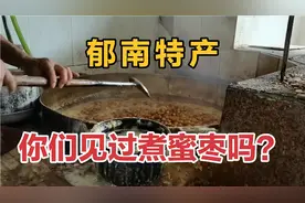 广东罗旁蜜枣上市，自制蜜枣软糯香甜，健康无添加，25元一斤！视频封面