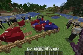 我的世界：MC最早的游戏名不是我的世界，而是……视频封面