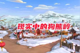 原来狗熊岭真的存在，现实中与熊出没相似的场景视频封面