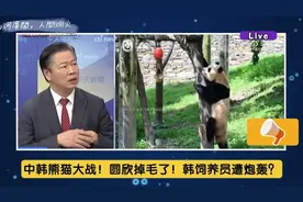 中韩熊猫大战！圆欣掉毛了！韩饲养员遭网友吐槽视频封面
