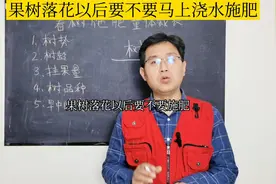 果树落花以后要不要马上浇水施肥？树是最好的老师！