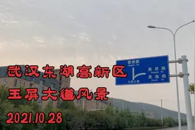 【记录】武汉东湖高新区龙泉山、玉屏大道及一所大学，晴川学院视频封面