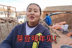 3500斤芽豆筛选打包完成，3天时间销售一空，承蒙大家的厚爱！视频封面