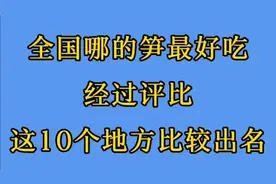 我国哪的笋最好吃？经过评比，这10个地方比较出名，有你家乡吗？视频封面