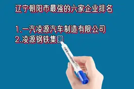 辽宁朝阳市最强的六家企业排名视频封面