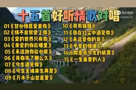 十五首好听情歌对唱《甘心情愿爱着你》《情不自禁爱上你》https: